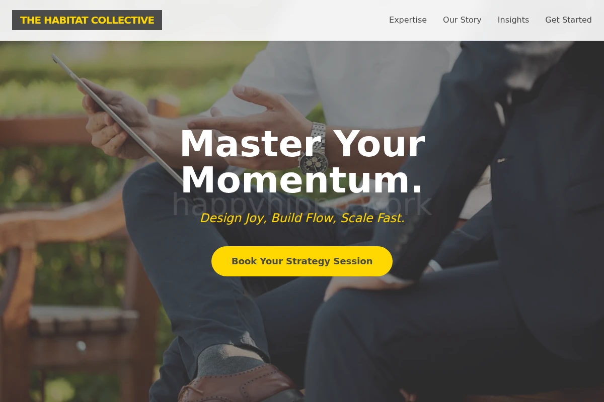 Flow Business Coach