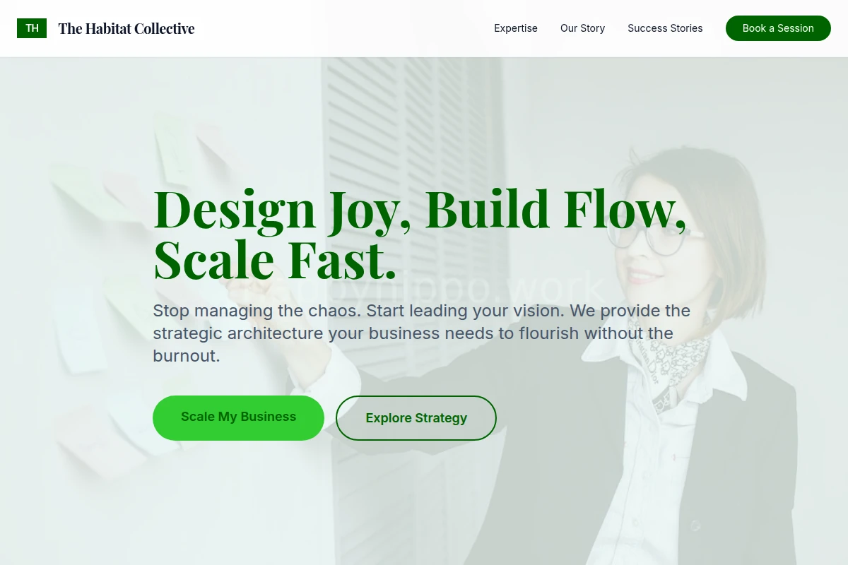 Bridge Business Coach