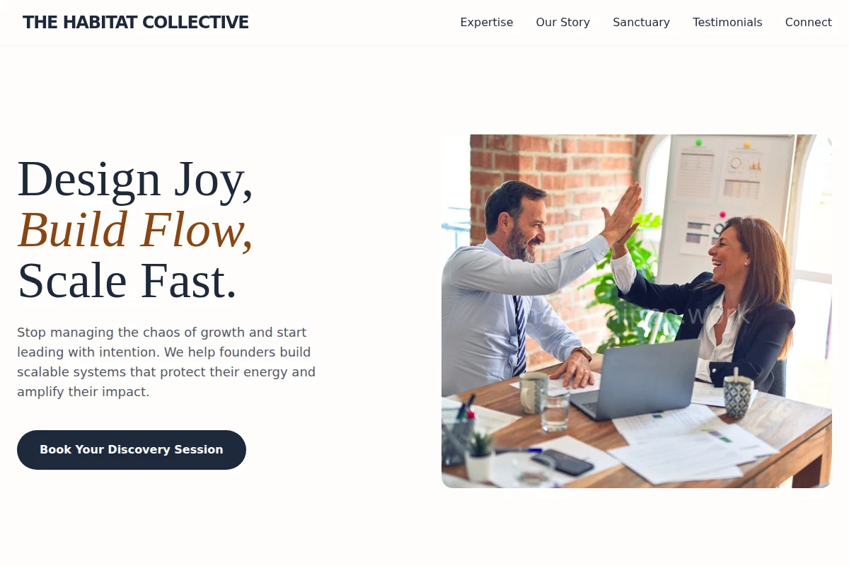Flow Business Coach