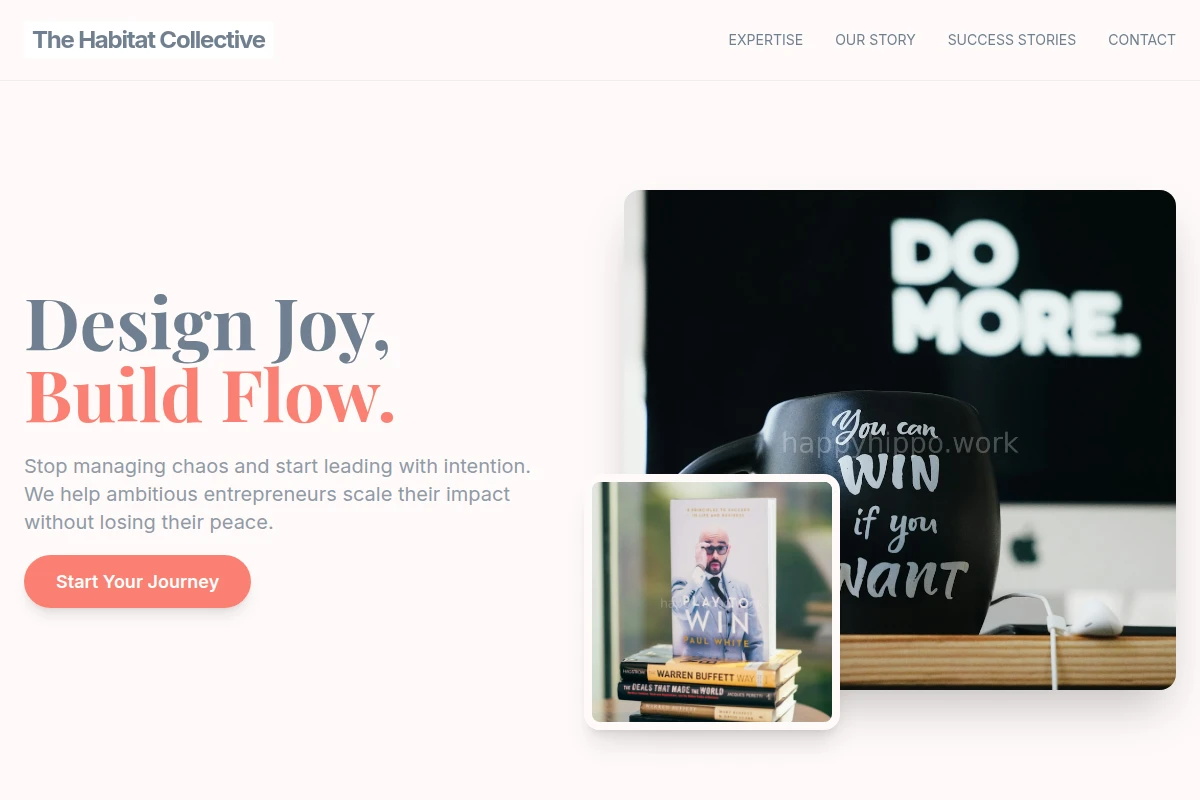 Flow Business Coach
