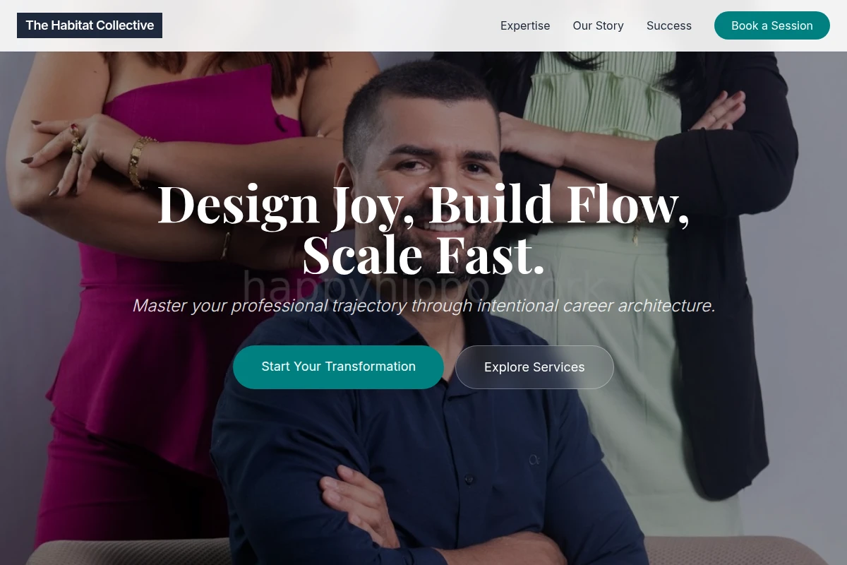 Flow Career Coach