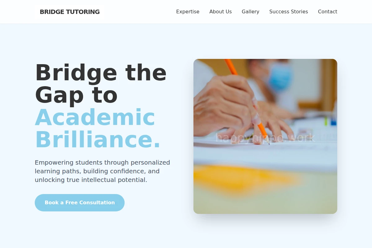 Bridge Tutoring